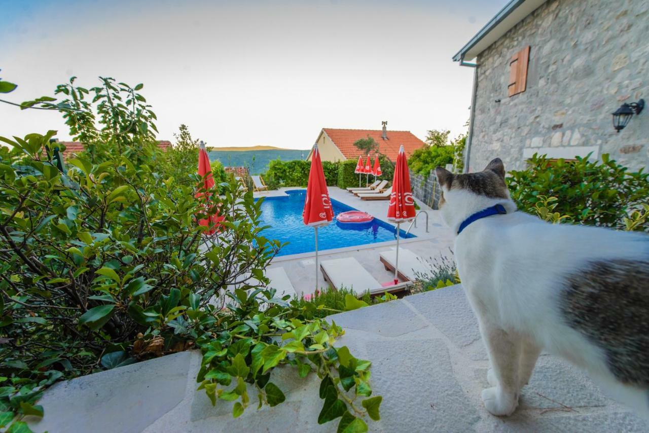Mediteraneo Villa Kaluderovici Eksteriør bilde